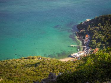 top-view-shot-small-harbor-forest-portinho-da-arrabida.jpg